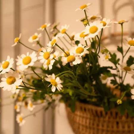 Apartamento Hyggeleben, Innenstadt, Schlossblick, Parkplatz *