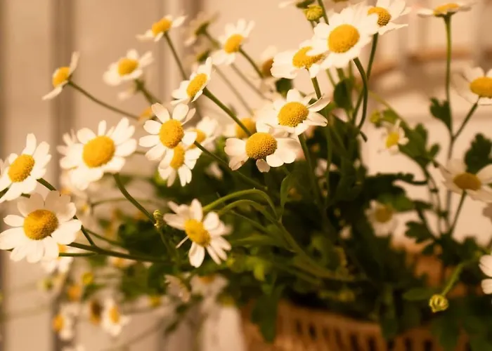 דירה Hyggeleben, Innenstadt, Schlossblick, Parkplatz *